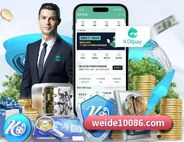 韦德体育 APP 深度功能